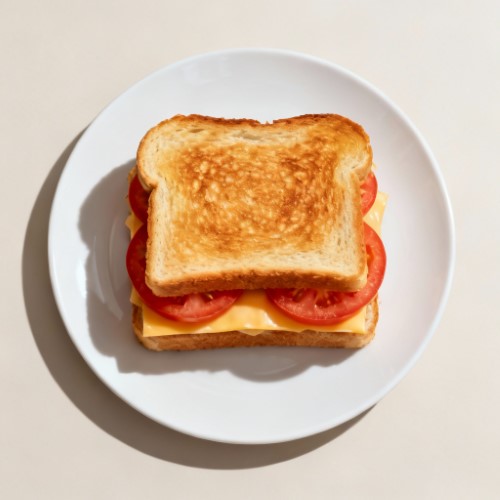 Cheese & Tomato Sandwich 